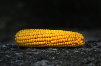 farm eth on coinbase staking tutorial