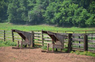 farm eth step by step