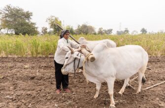 farm solana on binance earn no lock