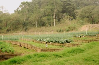 farm solana on yearn finance best apy