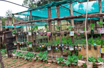 farm usdc on binance earn