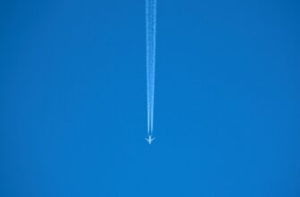free pepe airdrop on starknet
