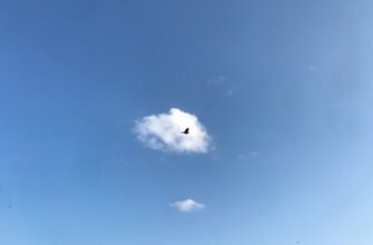 free sol airdrop on blast