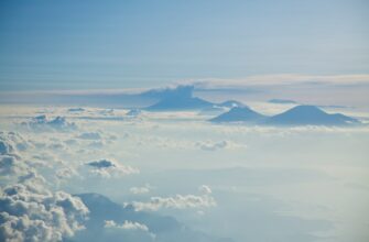free ton airdrop in indonesia