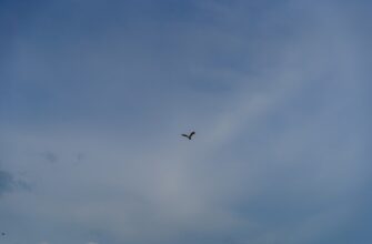 free zk airdrop in philippines