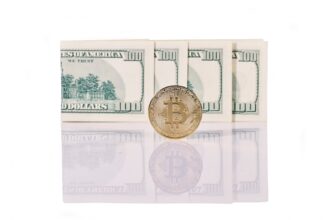 guard crypto wallet safely for beginners