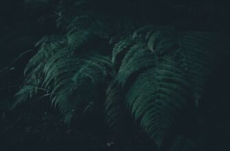 hedging ada on kraken manual