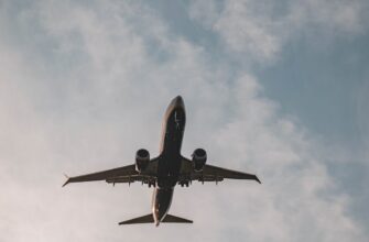 how to collect avax airdrop legit