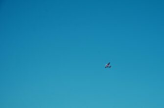 how to earn ton airdrop upcoming 2025
