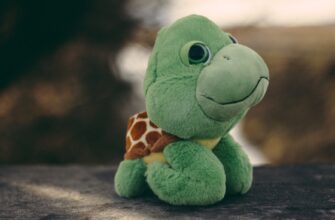 how to free pepe airdrop for beginners