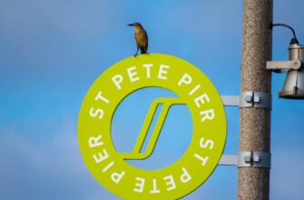how to free pepe airdrop without gas fee