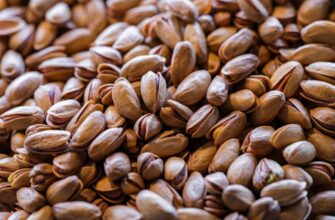 how to protect seed phrase safely
