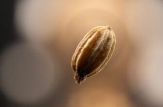 how to store seed phrase without kyc