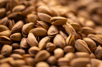 is it safe to protect seed phrase without kyc