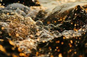 liquidity mine dai on kraken staking no lock