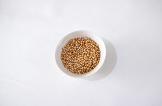 protect seed phrase in cold storage step by step