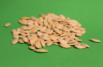 protect seed phrase without kyc low cost