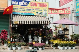 purchase usdt with mastercard in chiang mai