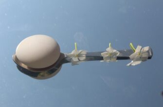 receive sol airdrop on blast