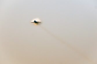 receive sol airdrop on starknet