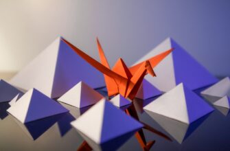 receive ton airdrop on polygon