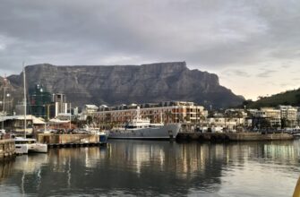staking rewards tax penalties south africa