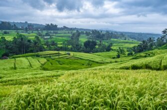 yield farm bnb on beefy finance best apy