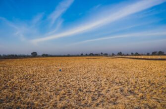 yield farm cardano on coinbase staking in 2025