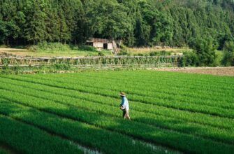 yield farm dai on yearn finance step by step