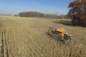 yield farm eth on pendle step by step