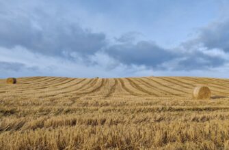 yield farm ethereum on coinbase staking low risk