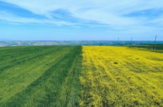 yield farm ethereum on lido finance flexible