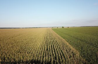 yield farm solana on aave in 2025