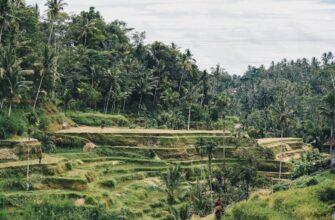 pay taxes on defi yield in indonesia